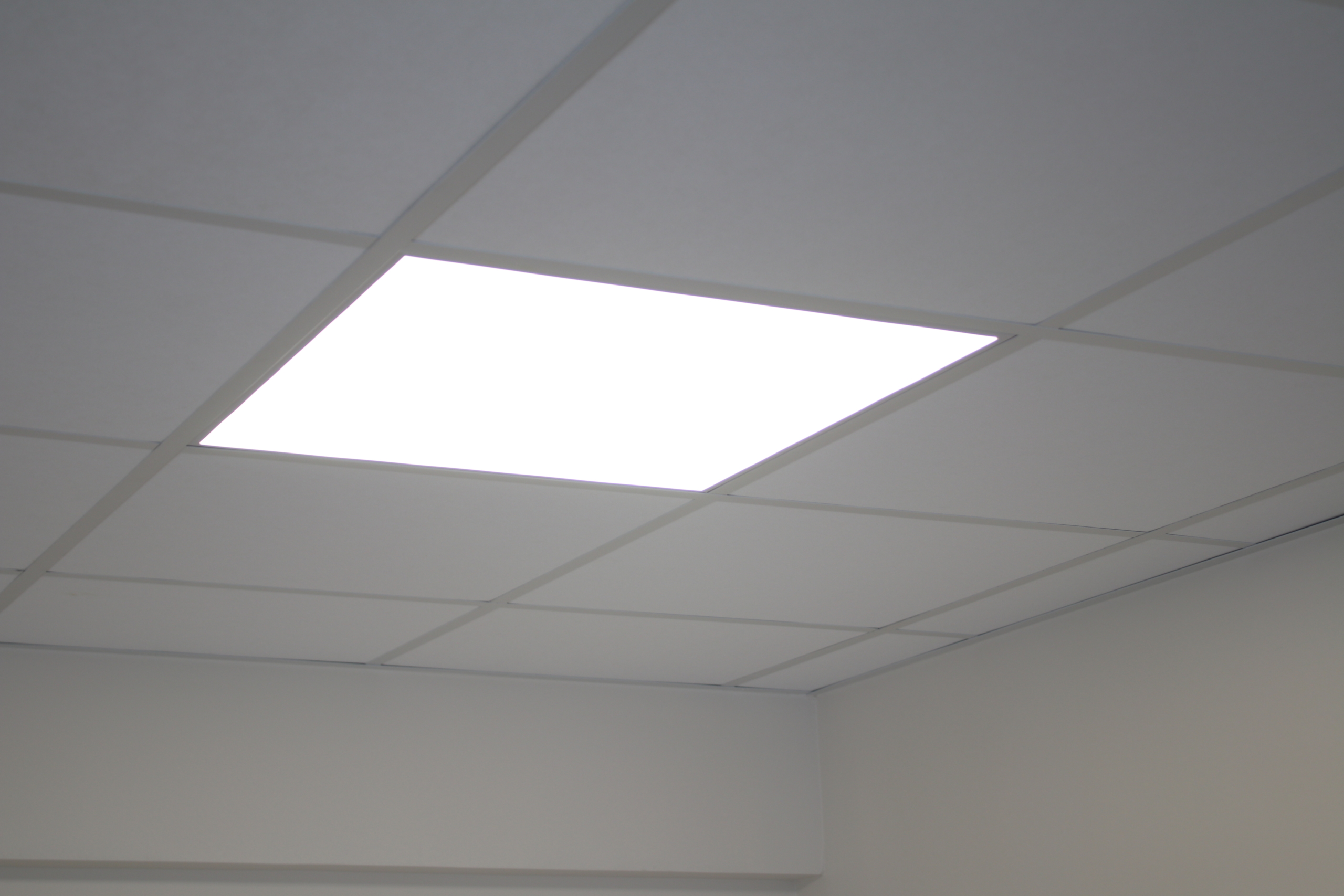 Dalle LED et accessoires pour dalles > Foxlight