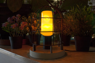 Ampoule LED Foxlight E27